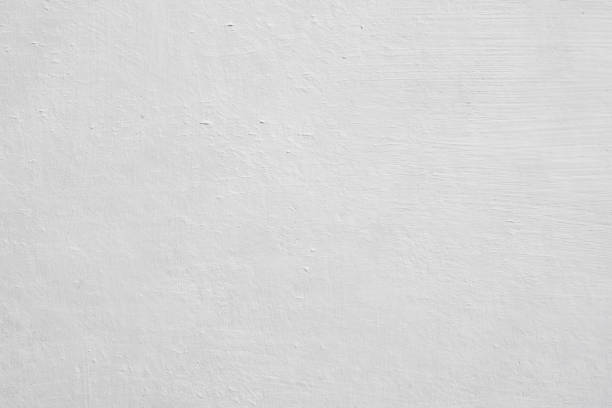 Best Mold Prevention Services  in York, SC