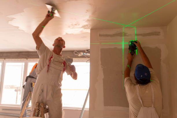 Best Basement Mold Removal  in York, SC