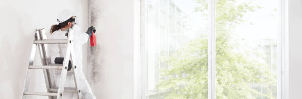 York, SC Mold Removal Company