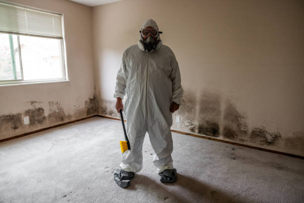 Best Industrial Mold Remediation  in York, SC